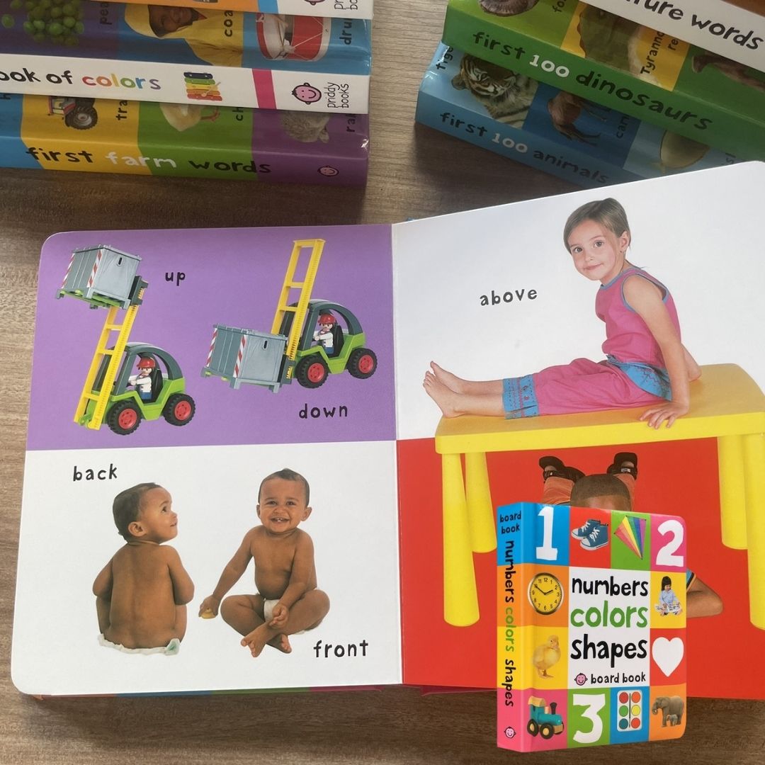 Priddy's First 100 Series (Singles, MINI board book)