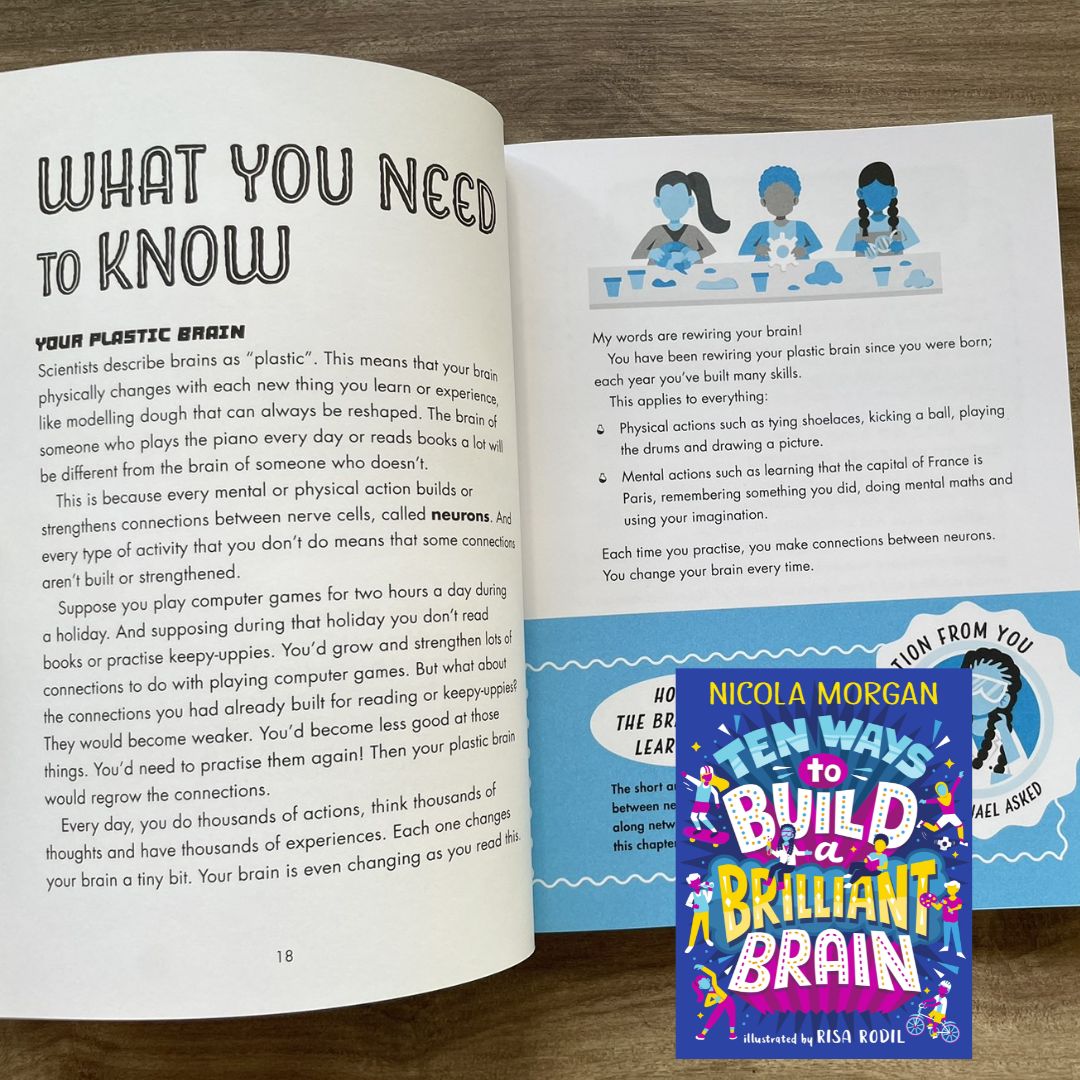 Ten Ways to Build a Brilliant Brain (brand new softcover)
