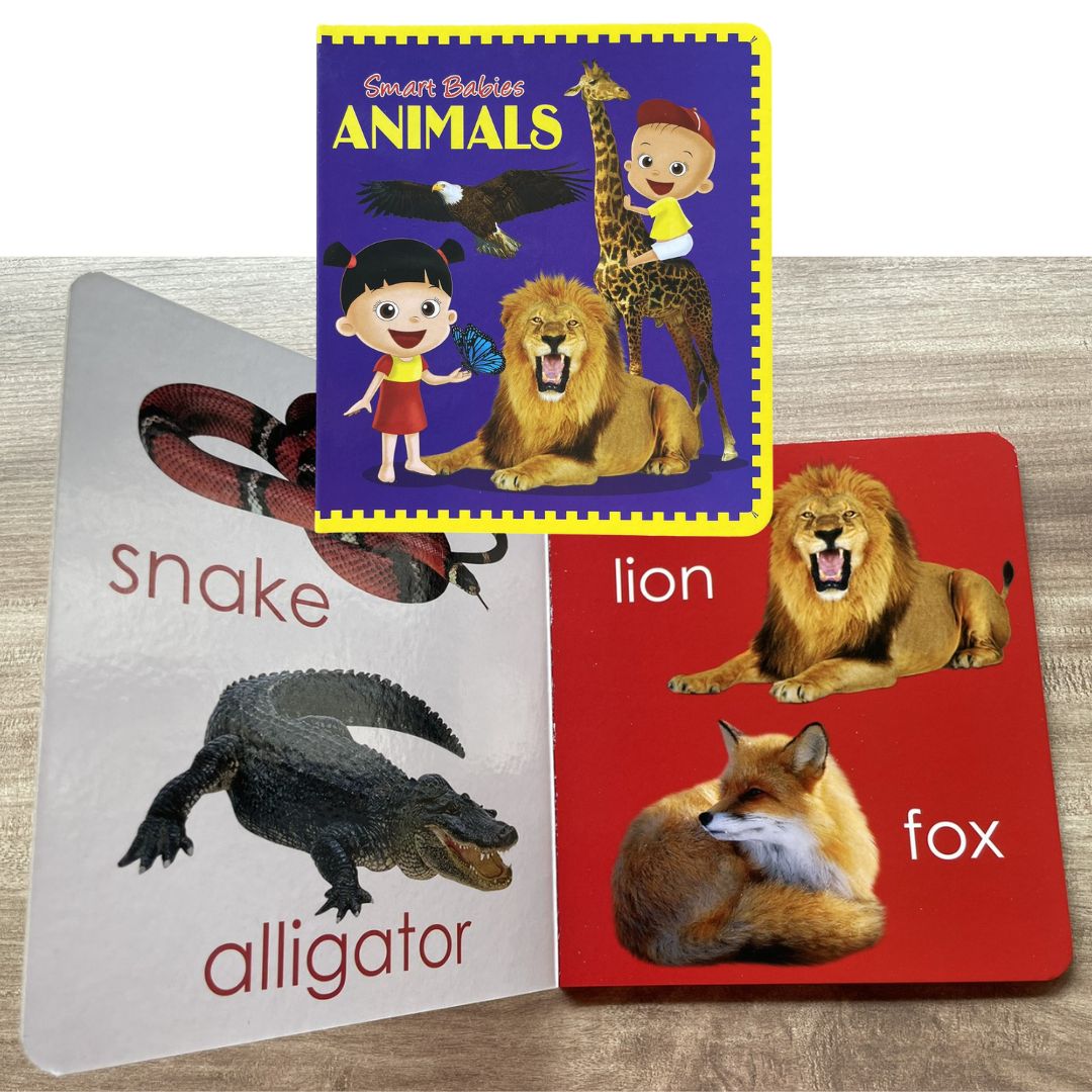 Smart Babies Board Book (ABC / Animals / Numbers / Shapes and Colors) (4 books) no box