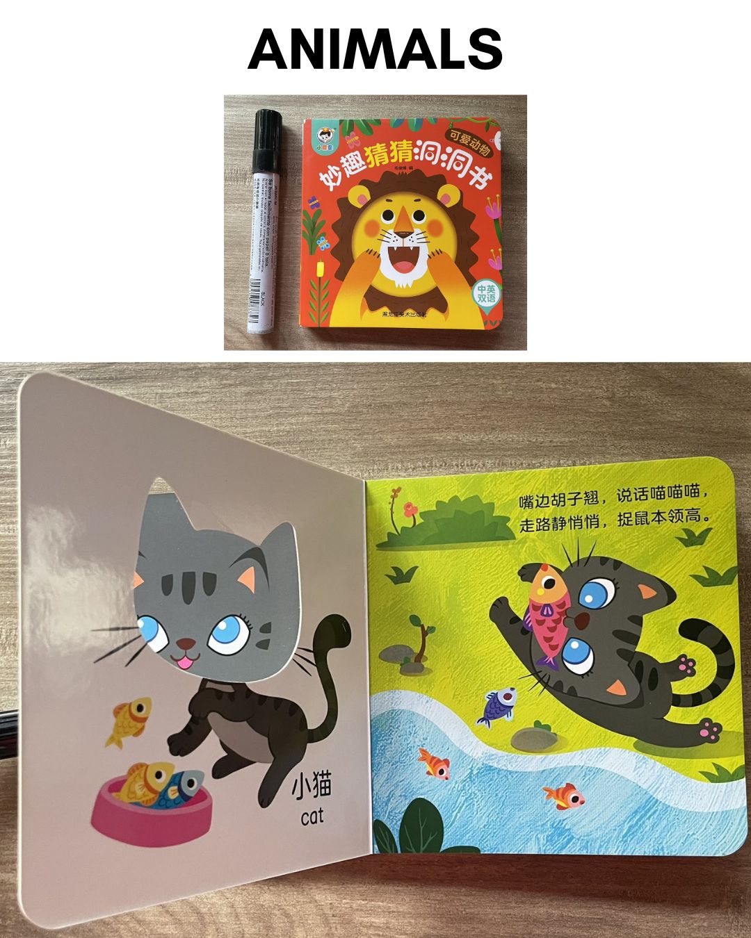 Peek-a-boo/ Peekaboo Board Book w/ Holes (SINGLES) Animals / Fruits and Vegetables / Sea Animals or Sea Creatures / Transportation Vehicles