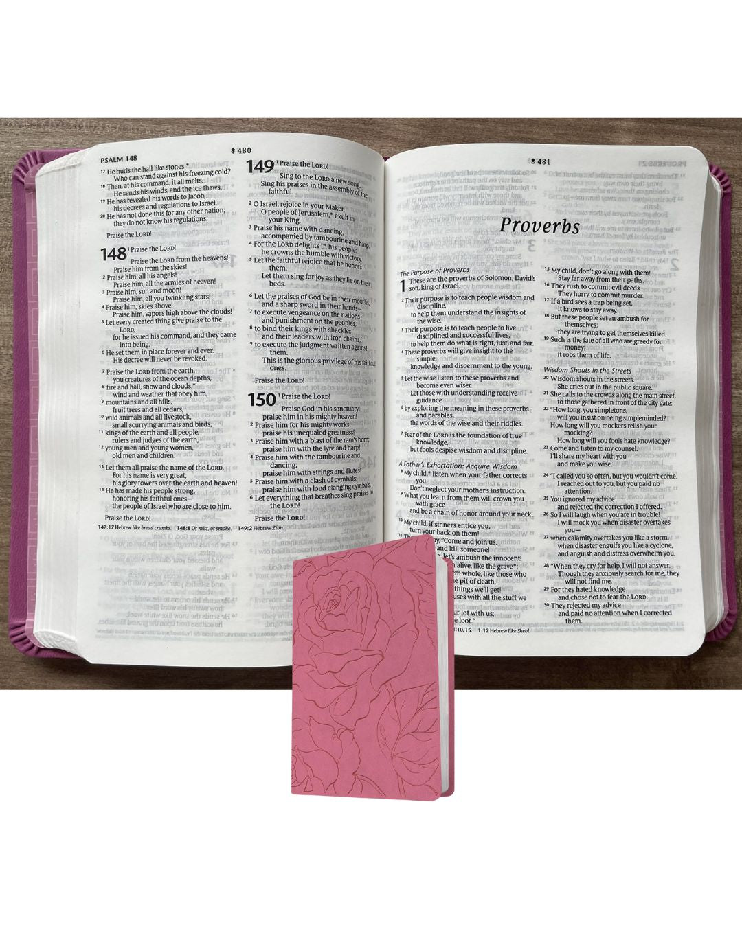 New Living Translation (NLT) Premium Value Compact Bible, Filament Enabled Edition (Pink Rose, Leatherlike, Old and New Testaments) Slipcase with slight tears and folds, book no damage