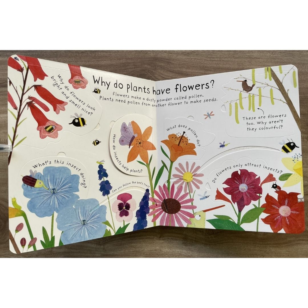 Usborne Lift-the-flap First Questions and Answers: HOW DO FLOWERS GROW? (brand new board book)