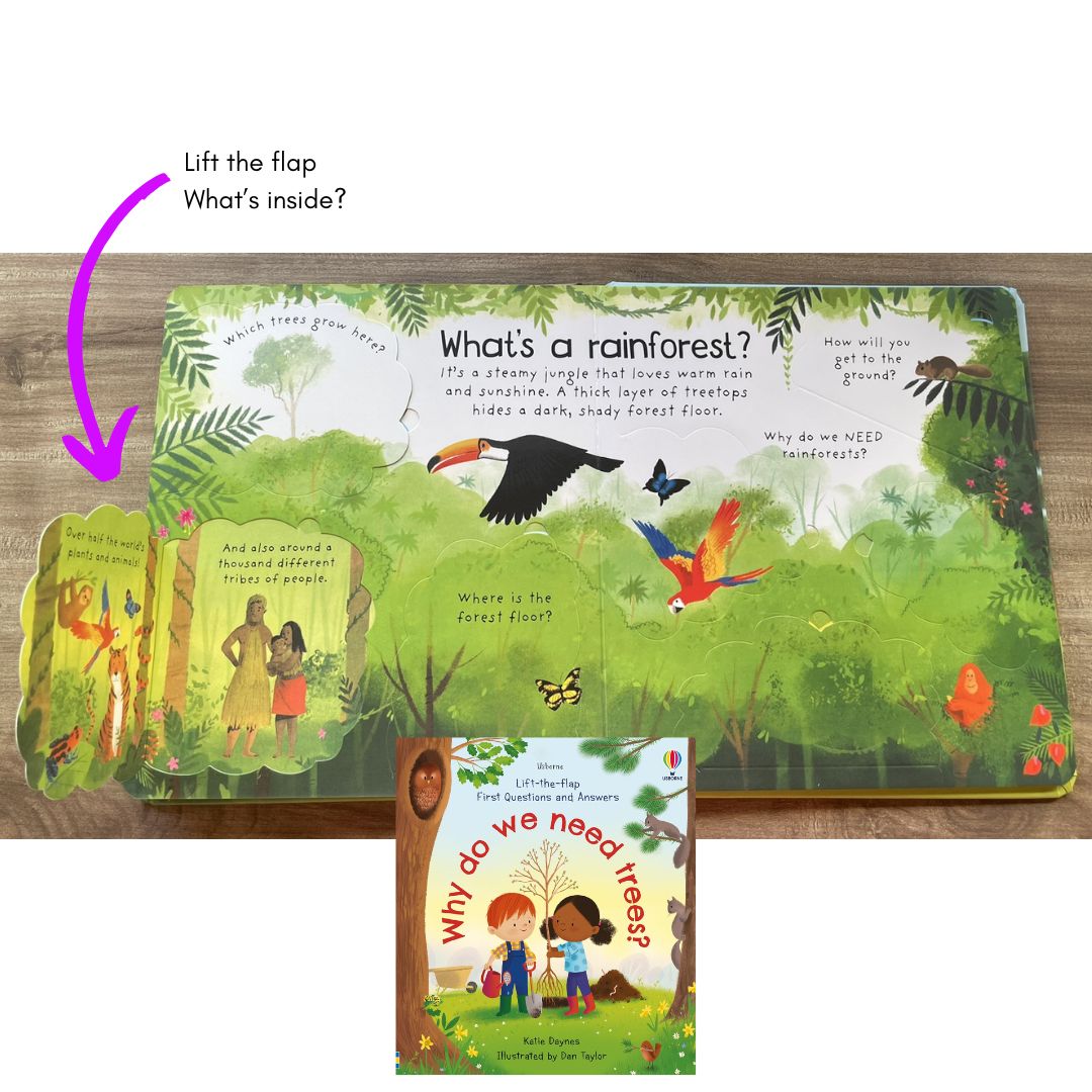 Usborne Lift-the-flap FIRST Questions and Answers (SINGLES, Board Book) How Do Flowers Grow / What is a Virus / What's It Like in Space / Why are there Wars / Why Do We Need Bees / Why Do We Need Trees / Why is it Dark at Night