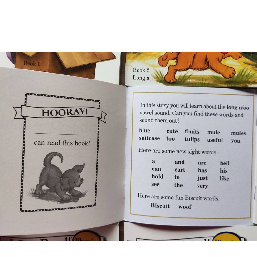 Biscuit I Can Read Phonics (24 books) Mini books, 5 by 5 inches, NO BOX