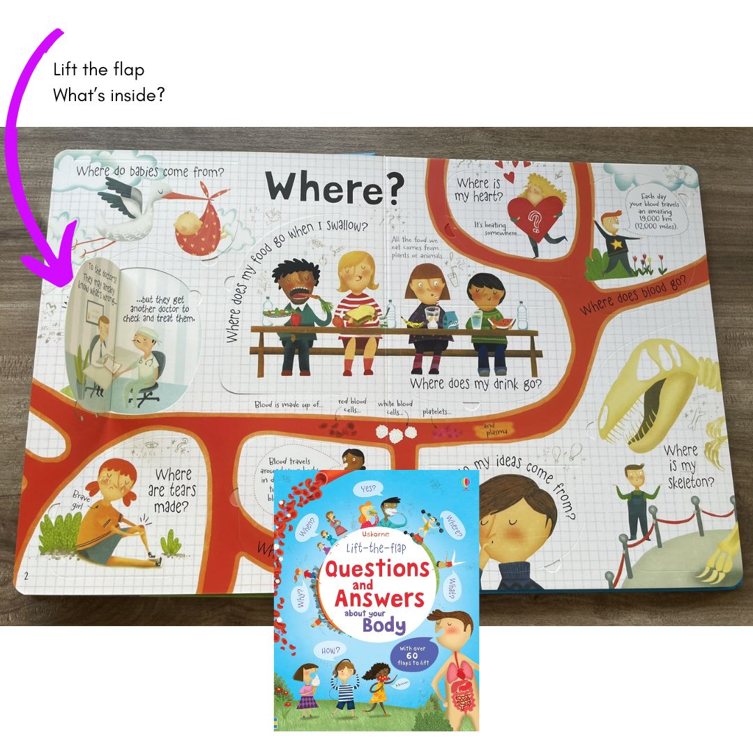 Usborne Lift-the-flap Questions and Answers About (SINGLES, brand new Board Book, w/ SLIGHT DENTS on book cover) Animals / Body / Feelings / Food / Jobs / Money / Nature