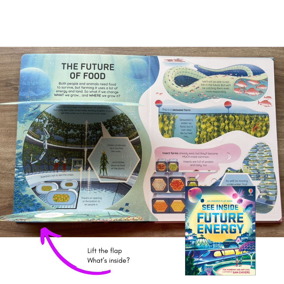 Usborne SEE INSIDE Future Energy (brand new Board Book, with SLIGHT DENTS on book cover)