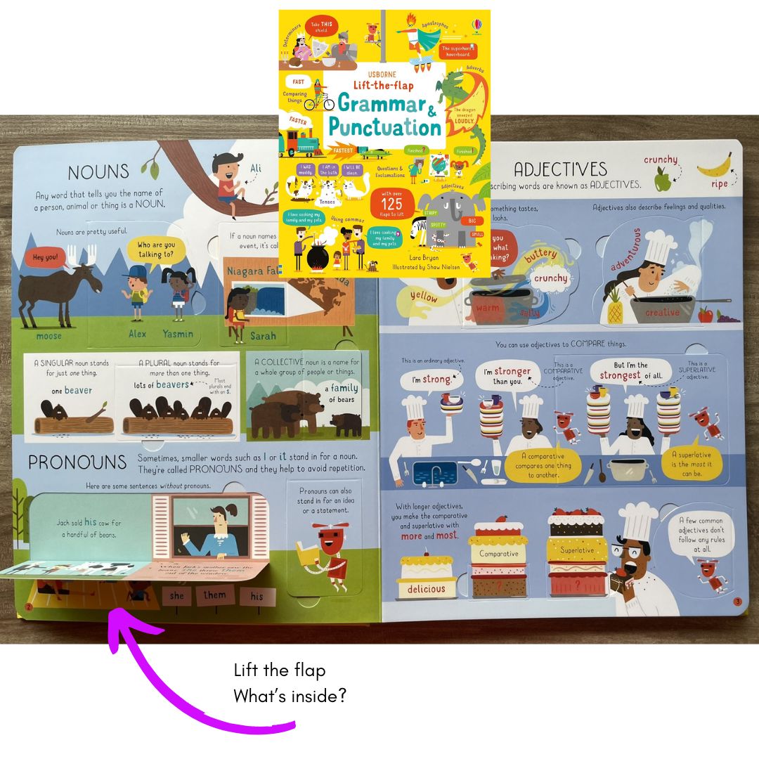 Usborne Lift-the-flap GRAMMAR AND PUNCTUATION (Lift-the-flap board book, brand new, with DENTS on book cover and pages)