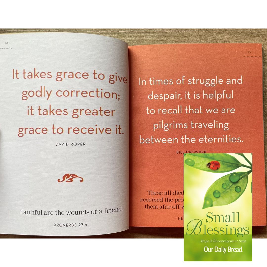 SMALL BLESSINGS Hope and Encouragement from Our Daily Bread (brand new Softcover)