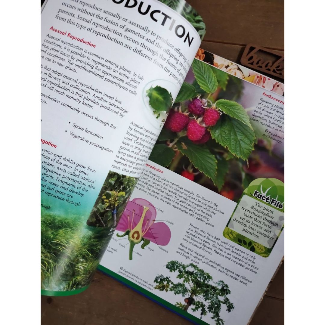 Wonders of Learning (BIOLOGY)