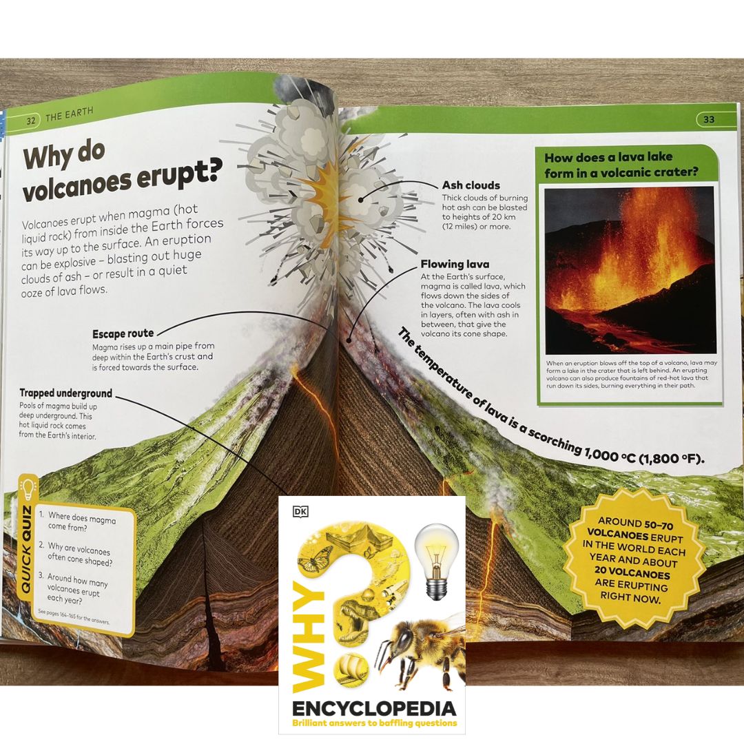 DK WHY? Encyclopedia: Brilliant Answers to Baffling Questions (brand new Hardcover, with SLIGHT DENTS on book cover)