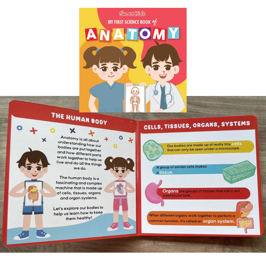 Smart Kids My First Science Book of ANATOMY / ASTRONOMY / BOTANY / ZOOLOGY (Board Book / SINGLES)