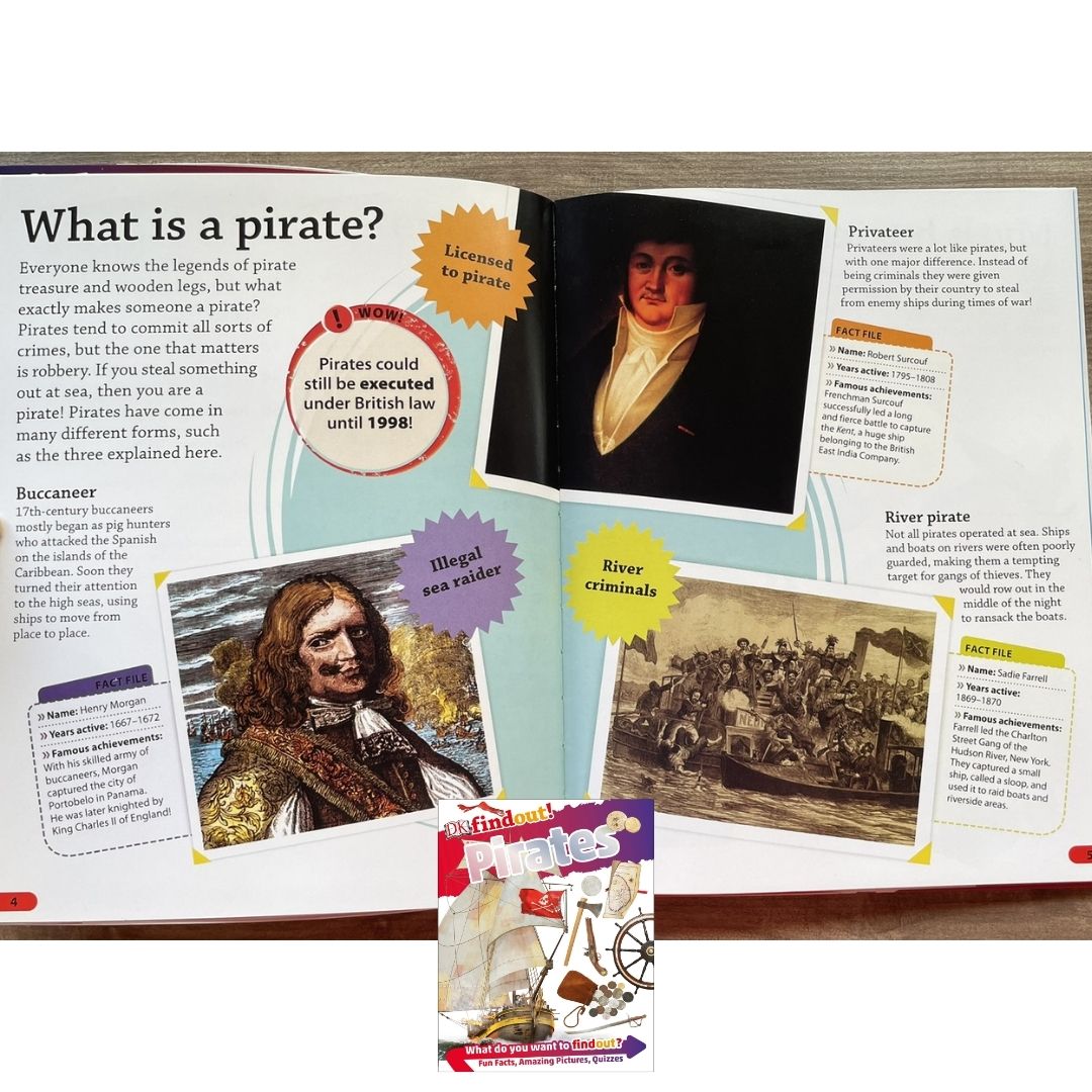 DK Findout! (SINGLES) Ancient Egypt Animals Big Cats Birds Castles Coding Energy Engineering Pirates Science Space Travel Universe Vikings Volcanoes