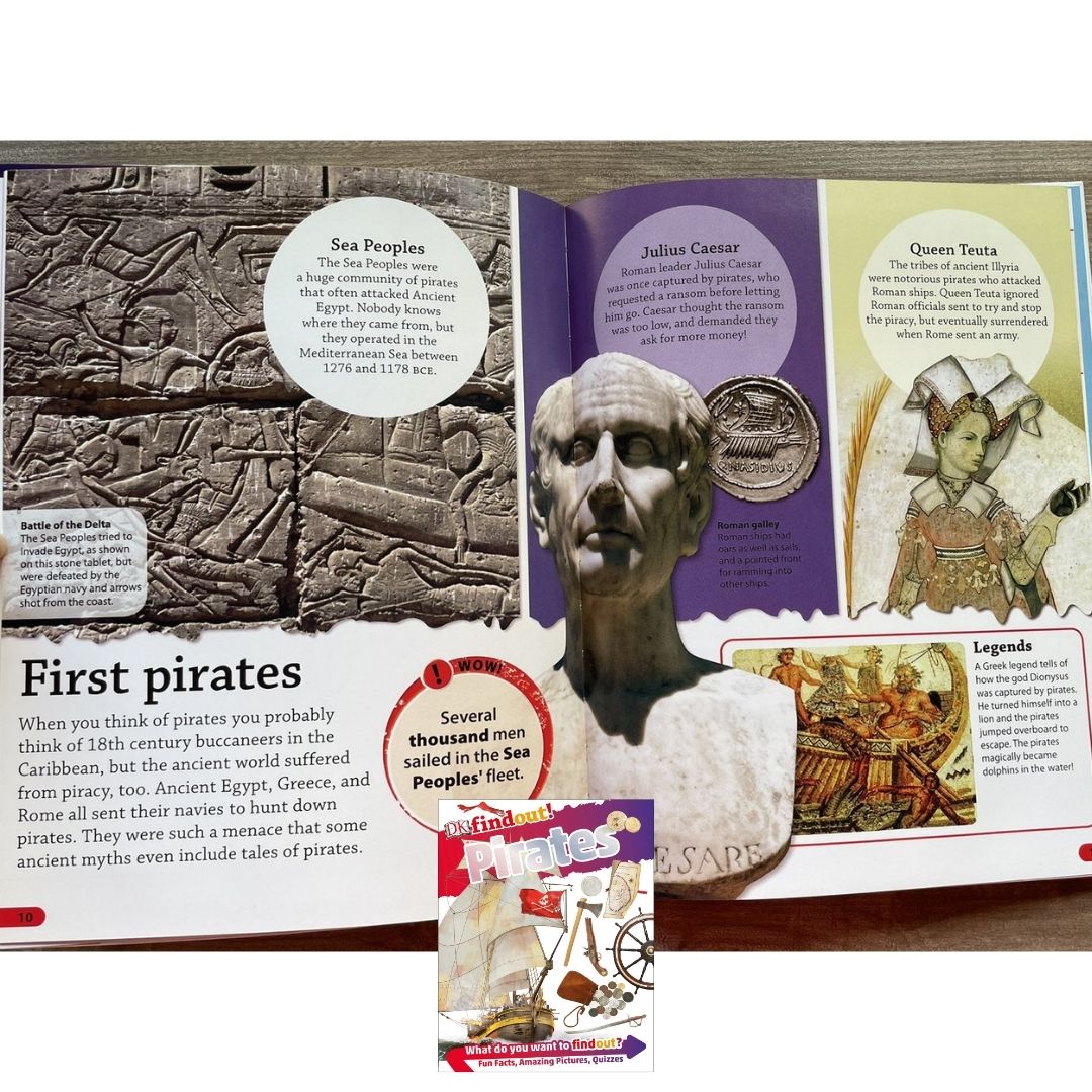 DK Findout! (SINGLES) Ancient Egypt Animals Big Cats Birds Castles Coding Energy Engineering Pirates Science Space Travel Universe Vikings Volcanoes