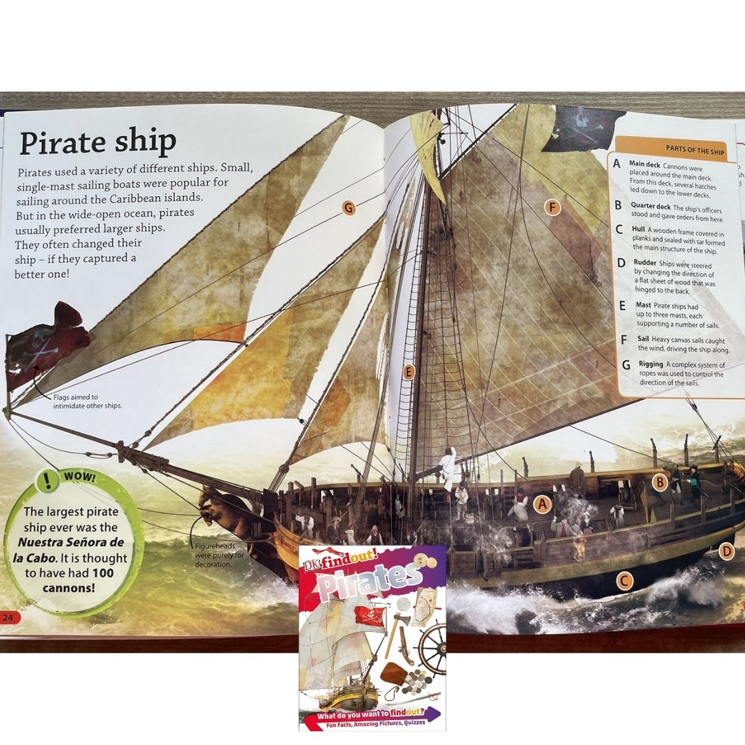 DK Findout! (SINGLES) Ancient Egypt Animals Big Cats Birds Castles Coding Energy Engineering Pirates Science Space Travel Universe Vikings Volcanoes