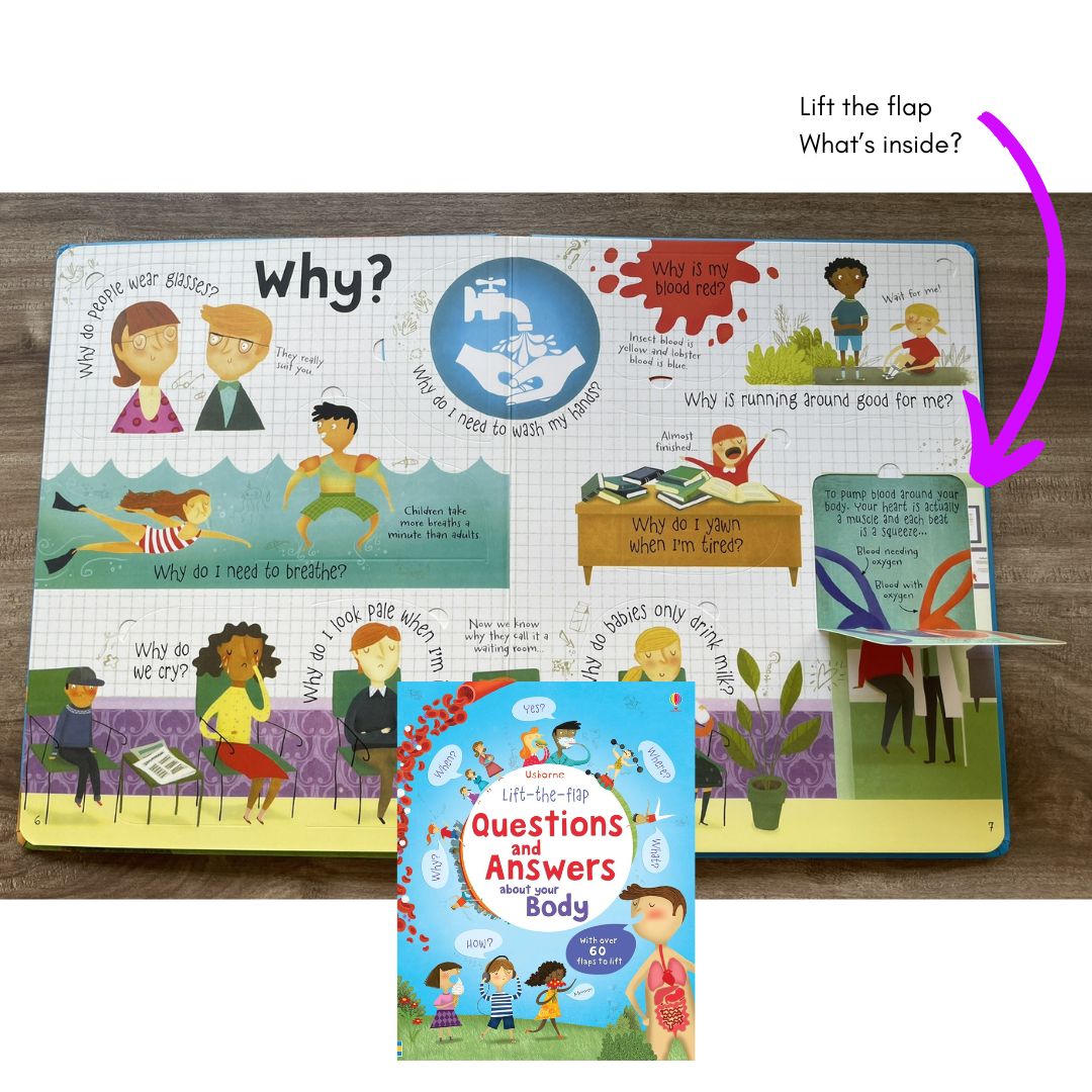 Usborne Lift-the-flap Questions and Answers About (SINGLES, brand new Board Book, w/ SLIGHT DENTS on book cover) Animals / Body / Feelings / Food / Jobs / Money / Nature