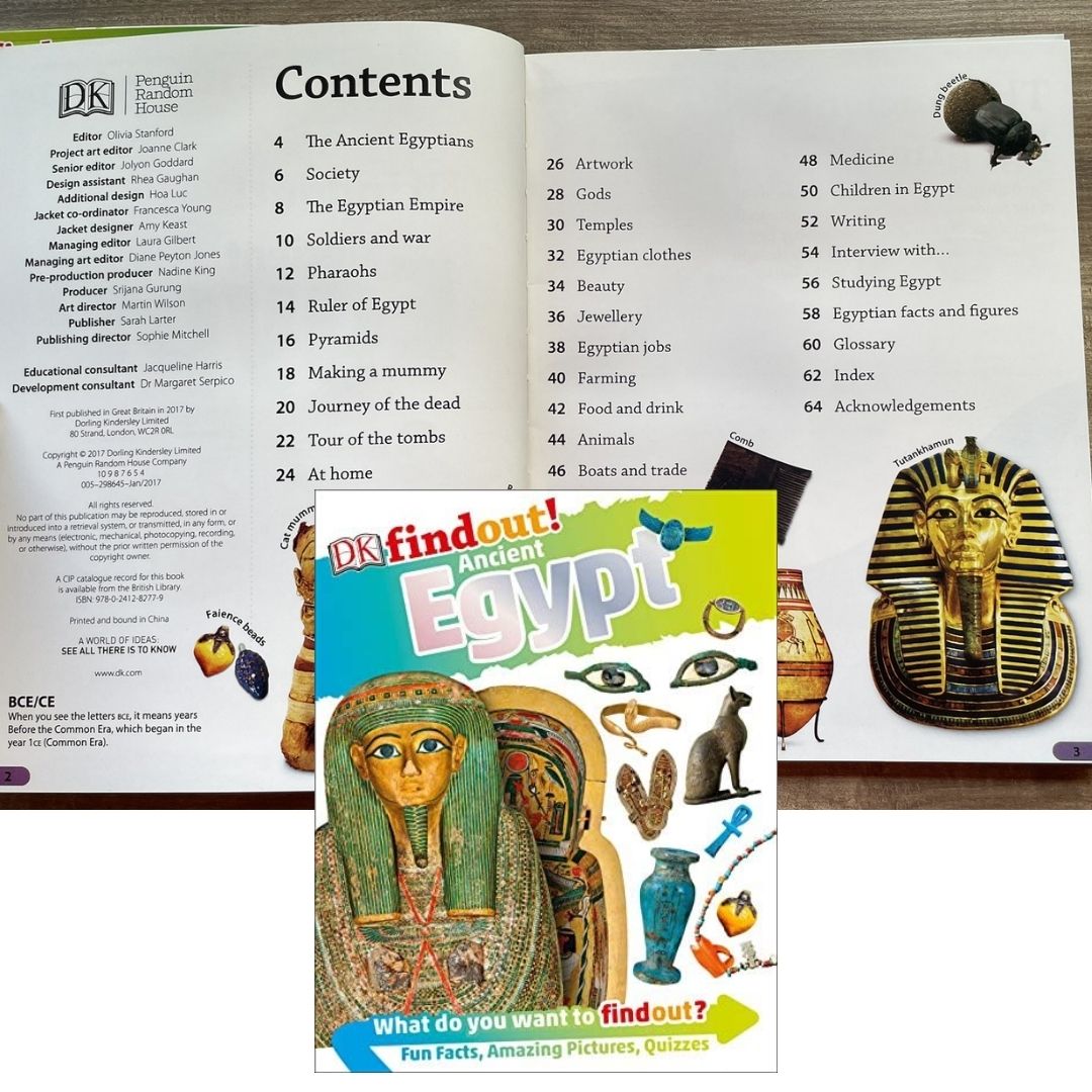 DK Findout! (SINGLES) Ancient Egypt Animals Big Cats Birds Castles Coding Energy Engineering Pirates Science Space Travel Universe Vikings Volcanoes