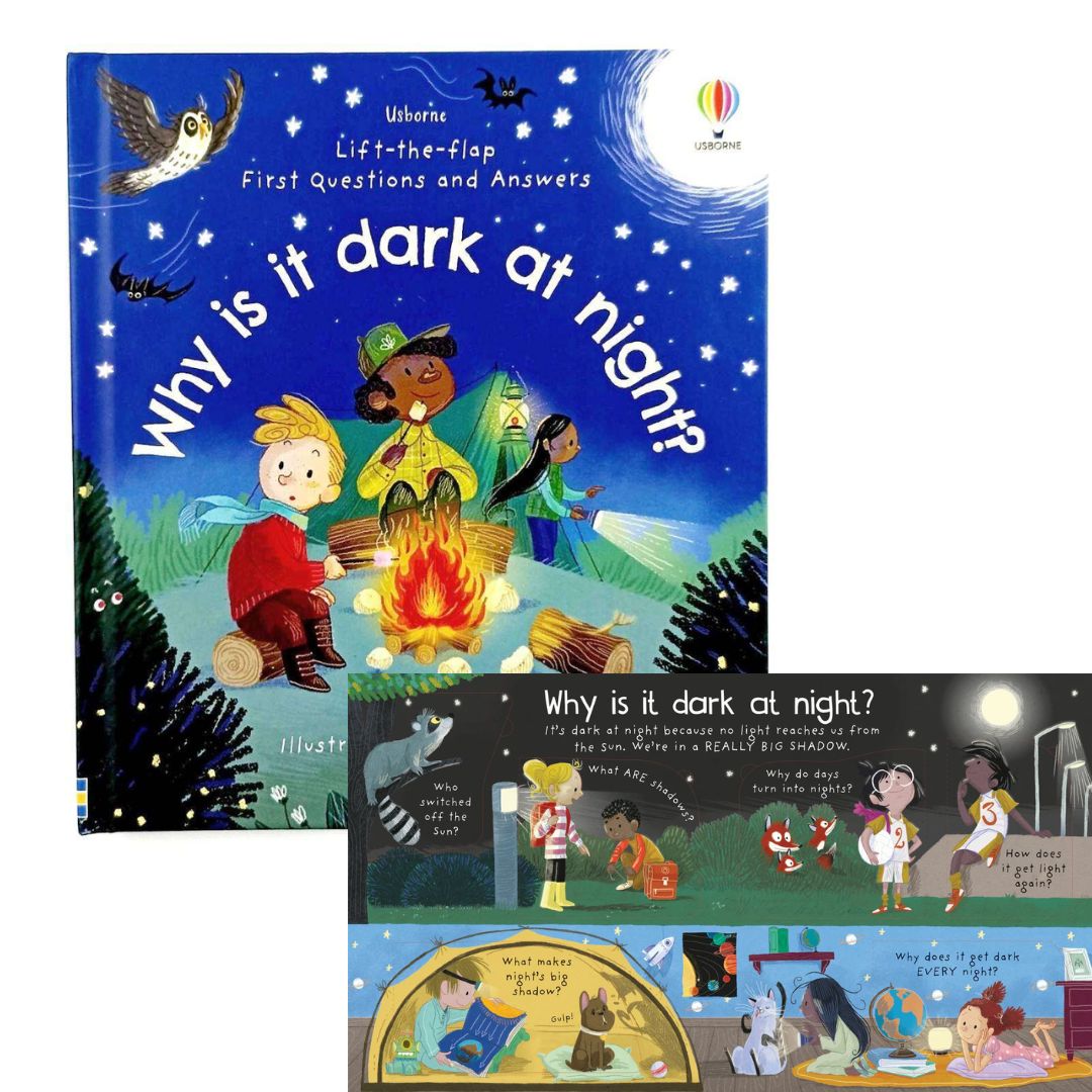 Usborne Lift-the-flap FIRST Questions and Answers (SINGLES, Board Book) How Do Flowers Grow / What is a Virus / What's It Like in Space / Why are there Wars / Why Do We Need Bees / Why Do We Need Trees / Why is it Dark at Night
