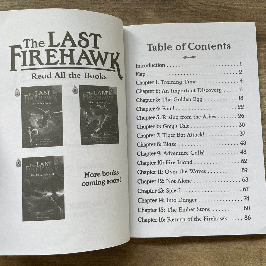 The Last Firehawk (12 books) brand new softcover, no box, with SLIGHT FOLDS on book covers and pages