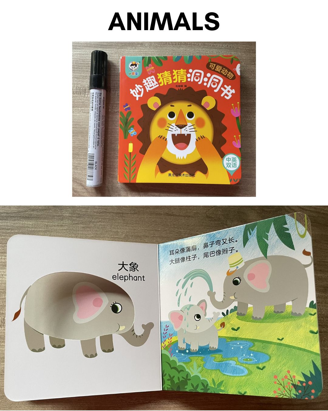 Peek-a-boo/ Peekaboo Board Book w/ Holes (SINGLES) Animals / Fruits and Vegetables / Sea Animals or Sea Creatures / Transportation Vehicles