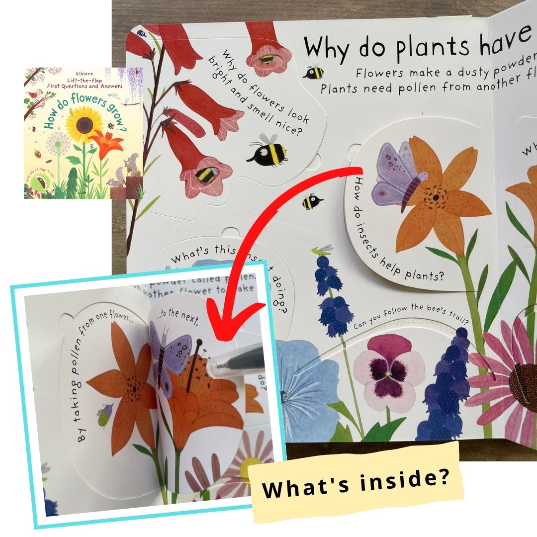 Usborne Lift-the-flap First Questions and Answers: HOW DO FLOWERS GROW? (brand new board book)