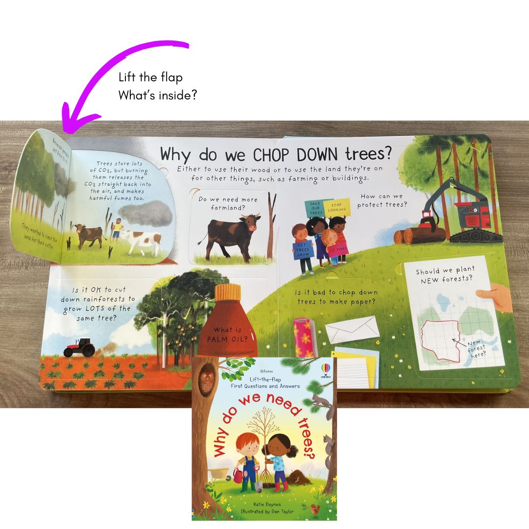 Usborne Lift-the-flap FIRST Questions and Answers (SINGLES, Board Book) How Do Flowers Grow / What is a Virus / What's It Like in Space / Why are there Wars / Why Do We Need Bees / Why Do We Need Trees / Why is it Dark at Night