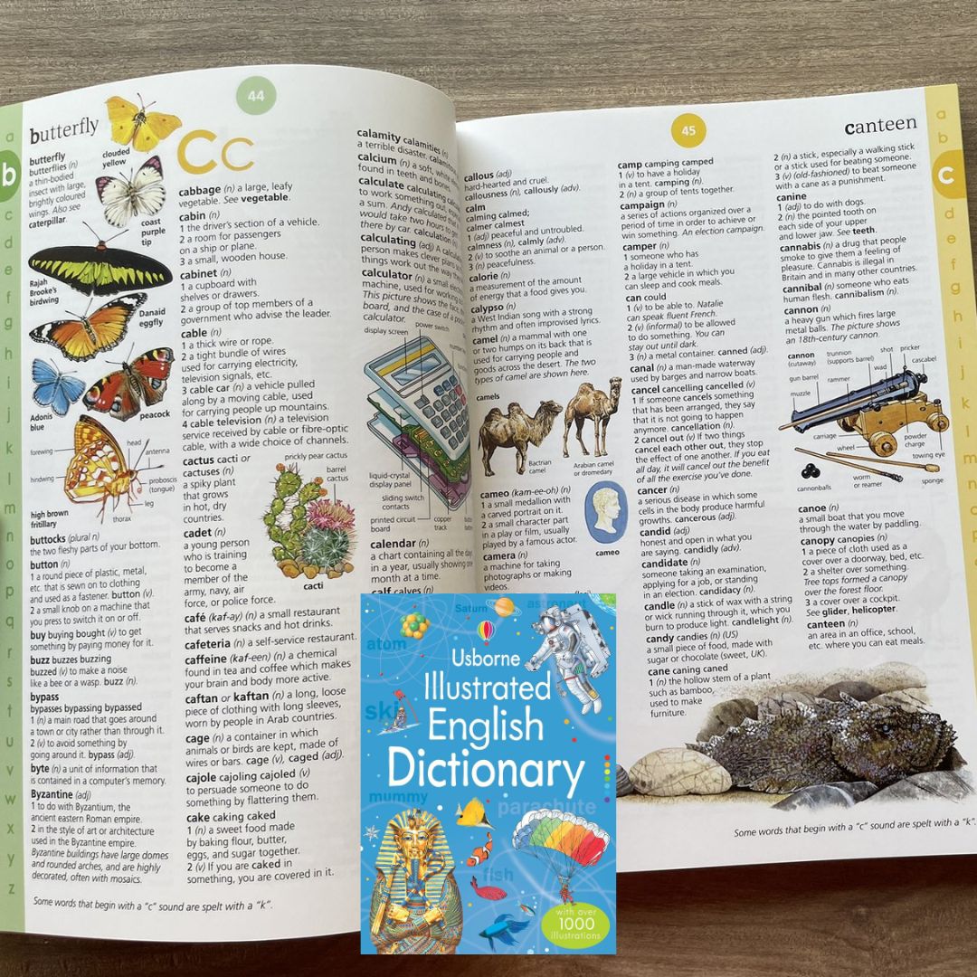 Usborne Illustrated English Dictionary (brand new Softcover, with SLIGHT FOLDS on book cover)
