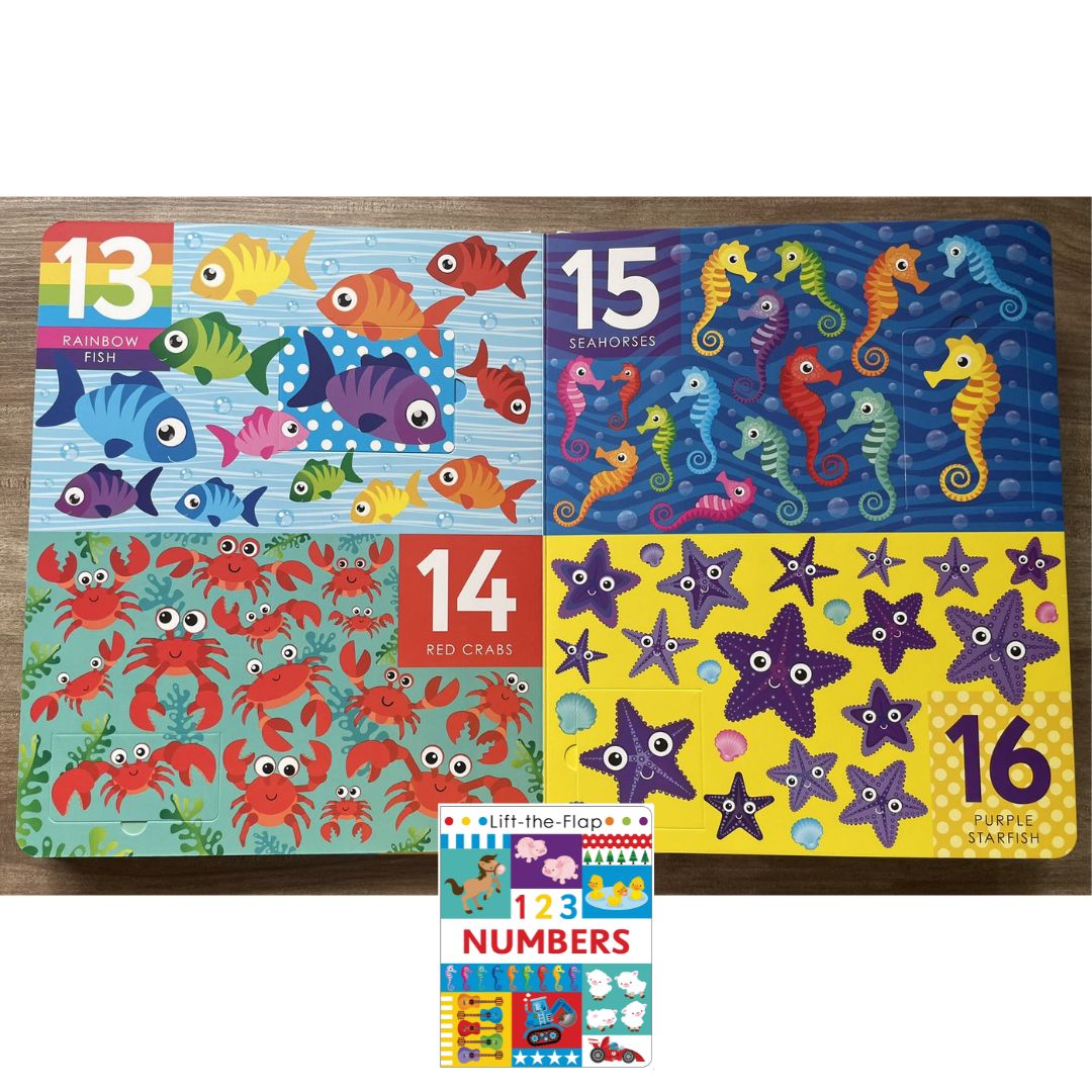 Lift-the-flap 123 NUMBERS Activity Book (brand new Hardcover, with SLIGHT DENTS on book cover)
