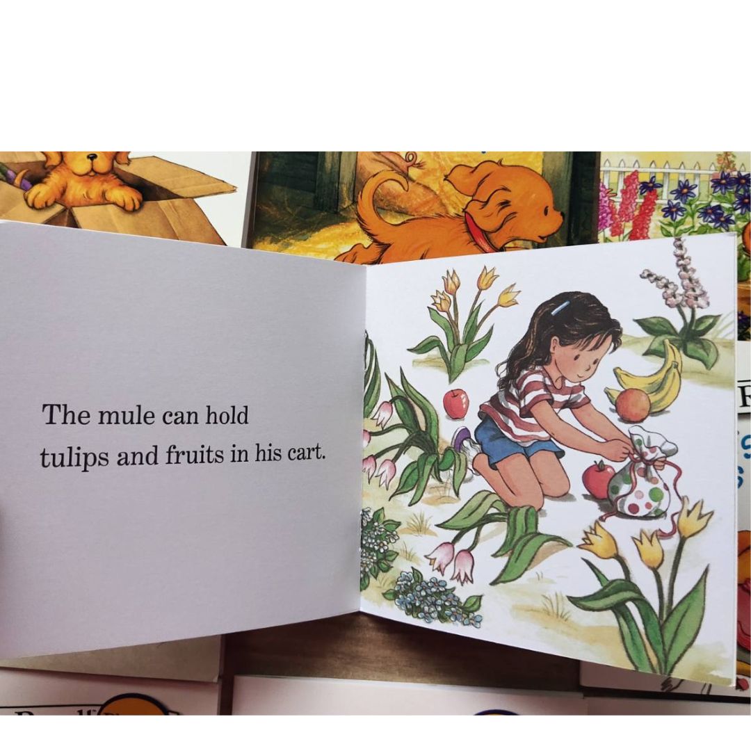 My Very First I Can Read Phonics MINI THIN BOOKS Set (Biscuit // Fancy Nancy // Little Critter // Red // Blue // Green) brand new paperbacks / softcovers