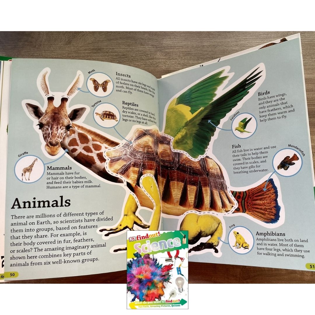 DK Findout! (SINGLES) Ancient Egypt Animals Big Cats Birds Castles Coding Energy Engineering Pirates Science Space Travel Universe Vikings Volcanoes