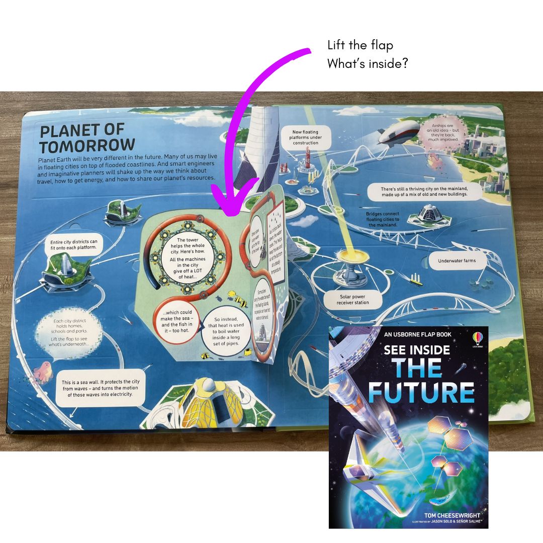 Usborne SEE INSIDE The Future (brand new board book, with SLIGHT DENTS on book cover)