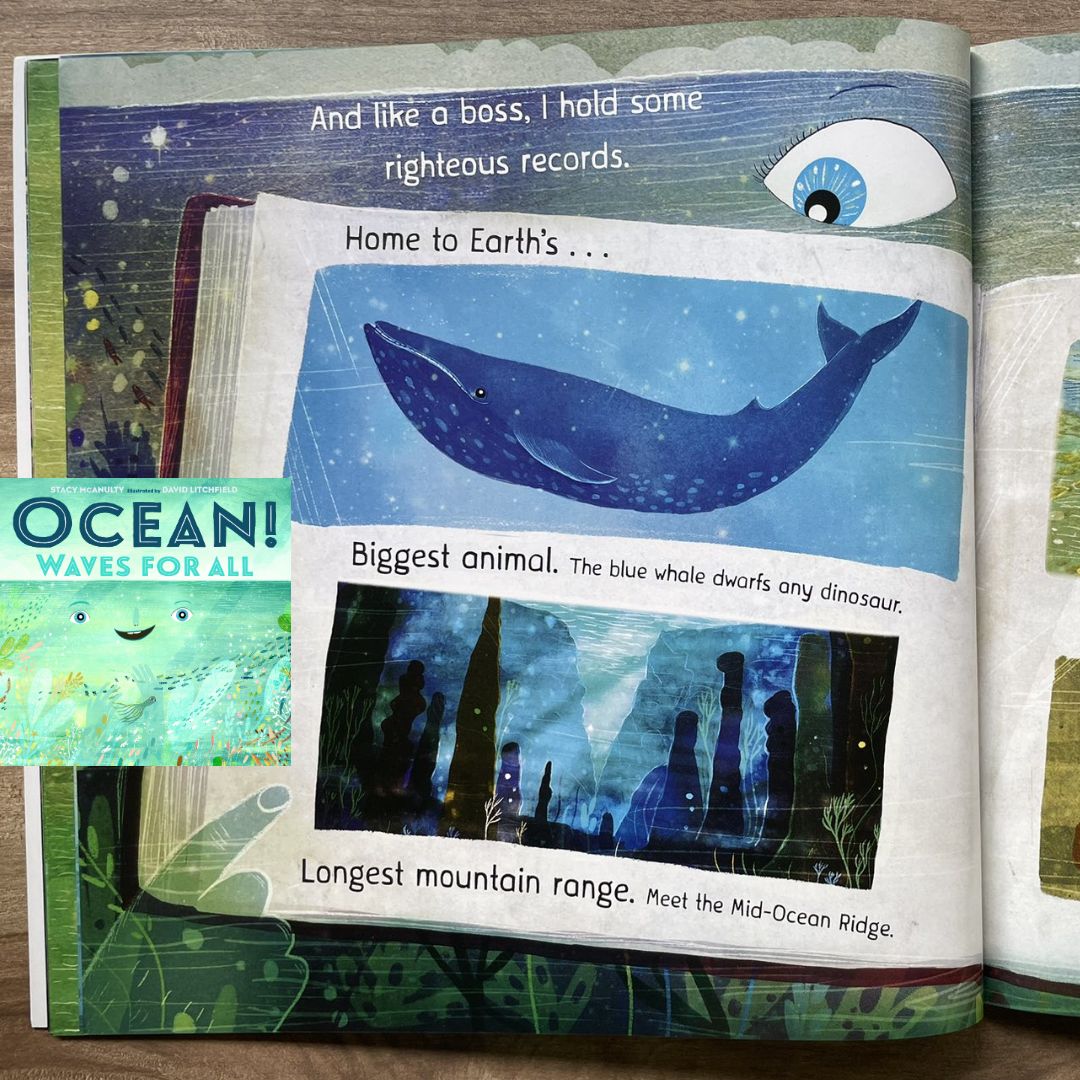 Sun / Earth / Moon / Ocean / Mars / Our Planet (OUR UNIVERSE by Stacy Mcanulty) SINGLES, brand new softcover