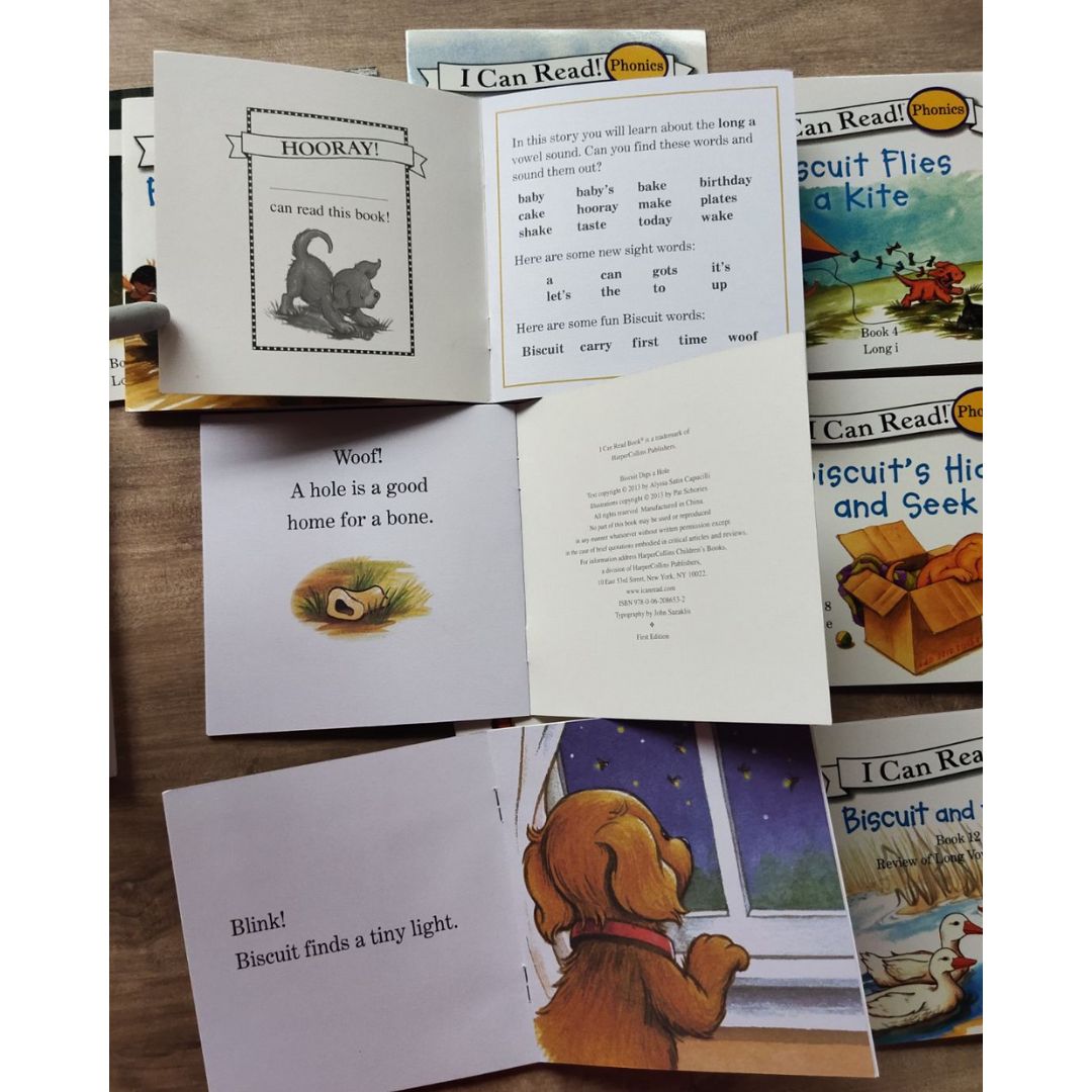 Biscuit I Can Read Phonics (24 books) Mini books, 5 by 5 inches, NO BOX
