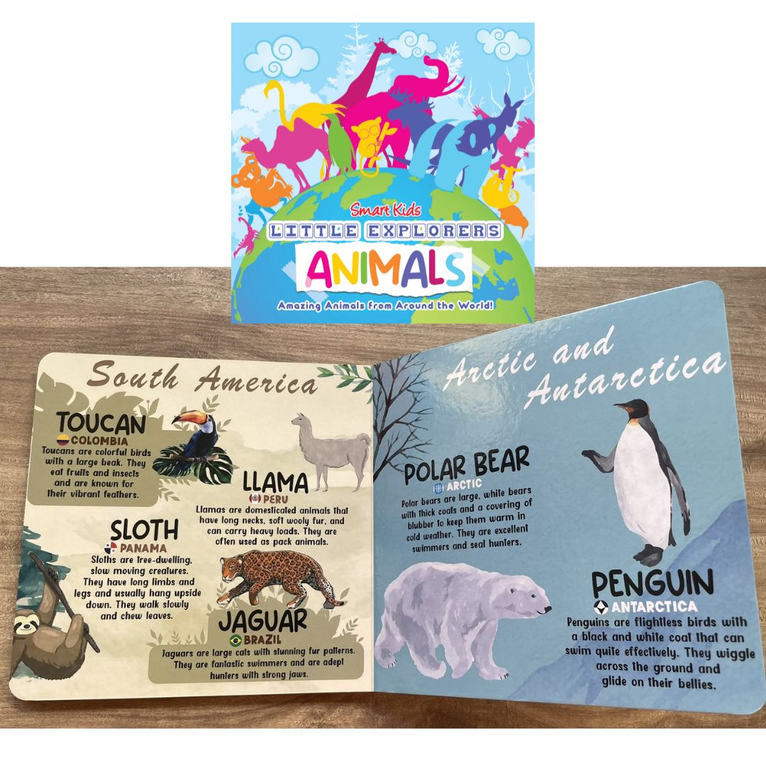 Smart Kids Little Explorers ANIMALS / FOOD / LANDMARKS / VEHICLES (Board Book / SINGLES)