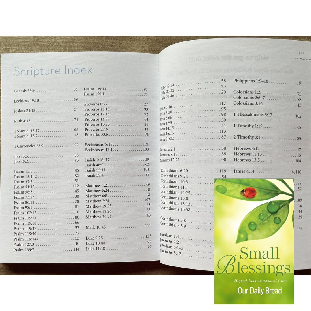 SMALL BLESSINGS Hope and Encouragement from Our Daily Bread (brand new Softcover)