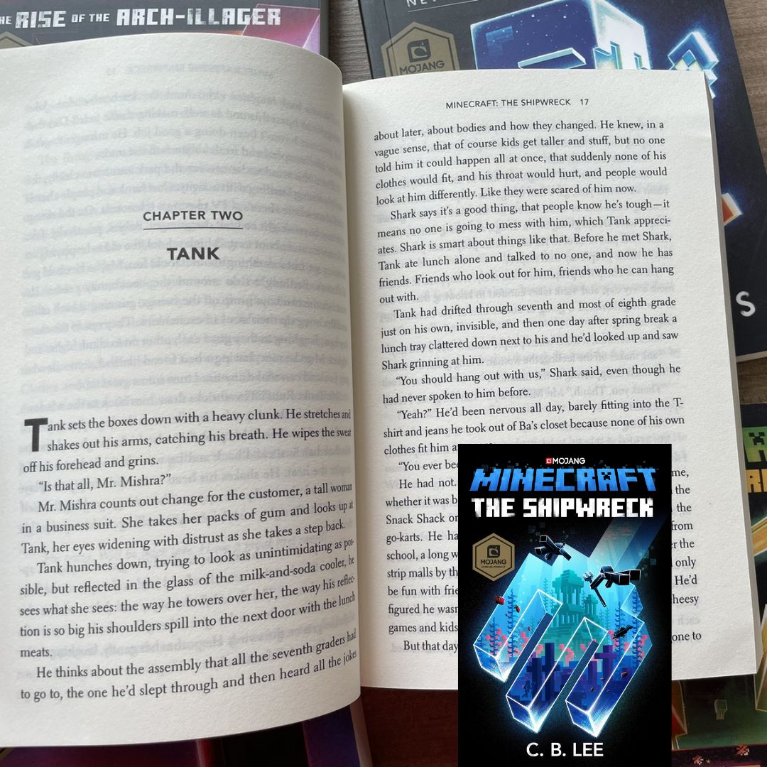 Minecraft (13 CHAPTER BOOKS) no box