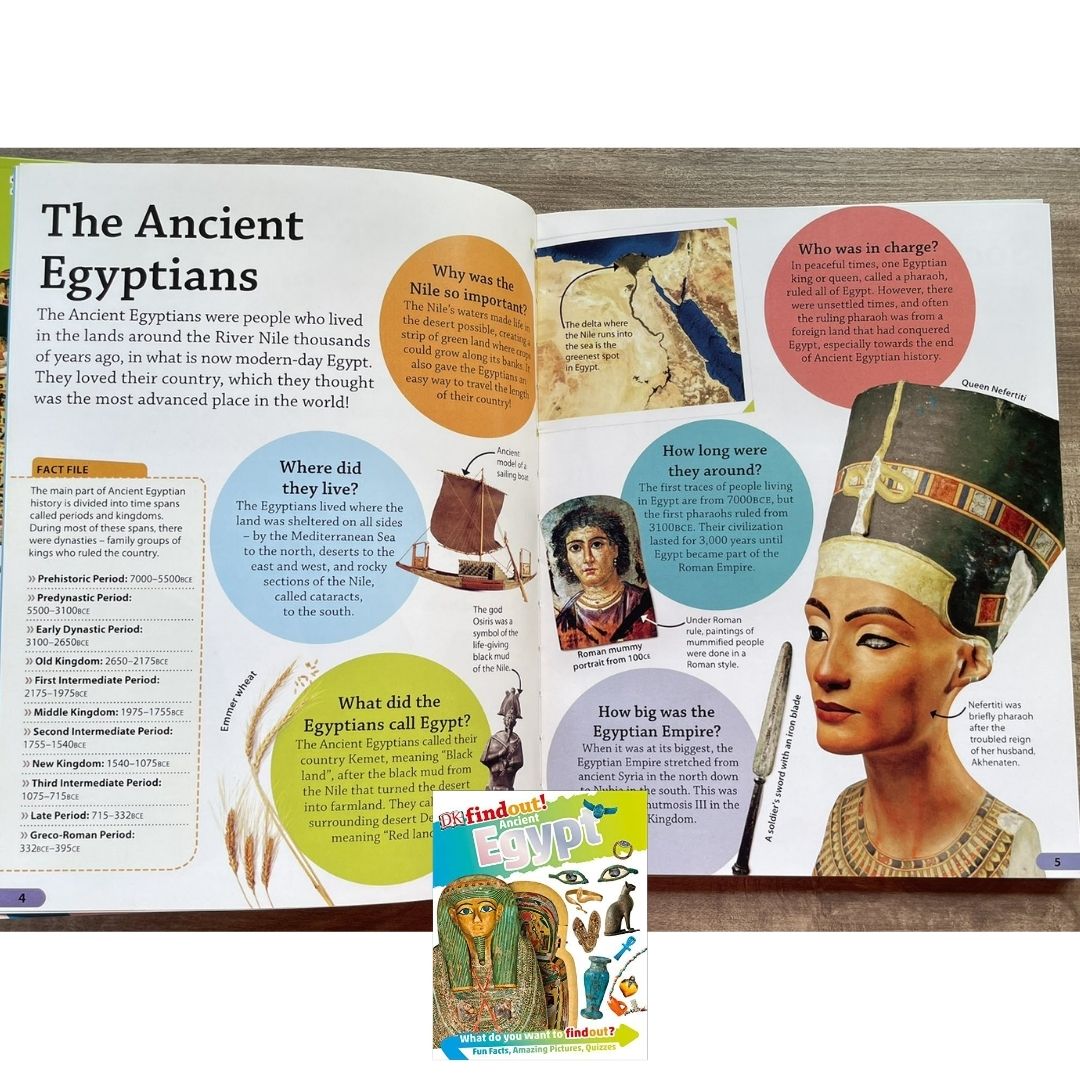 DK Findout! (SINGLES) Ancient Egypt Animals Big Cats Birds Castles Coding Energy Engineering Pirates Science Space Travel Universe Vikings Volcanoes