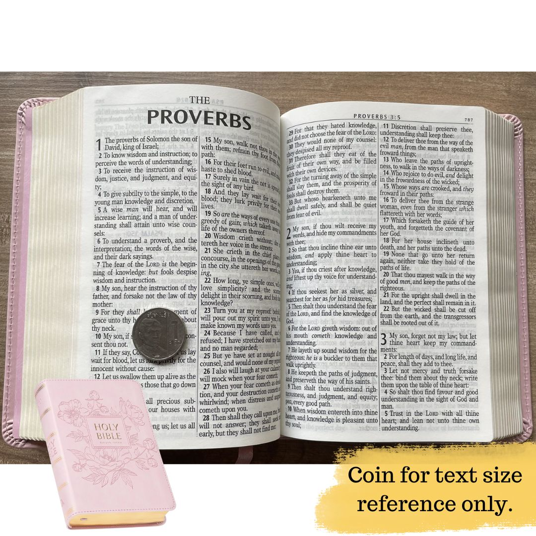 King James Version KJV Holy Bible, Compact Large Print (BALLET PINK Faux Leather, Red Letter, Old and New Testament) SLIPCASE w/ SLIGHT FOLDS