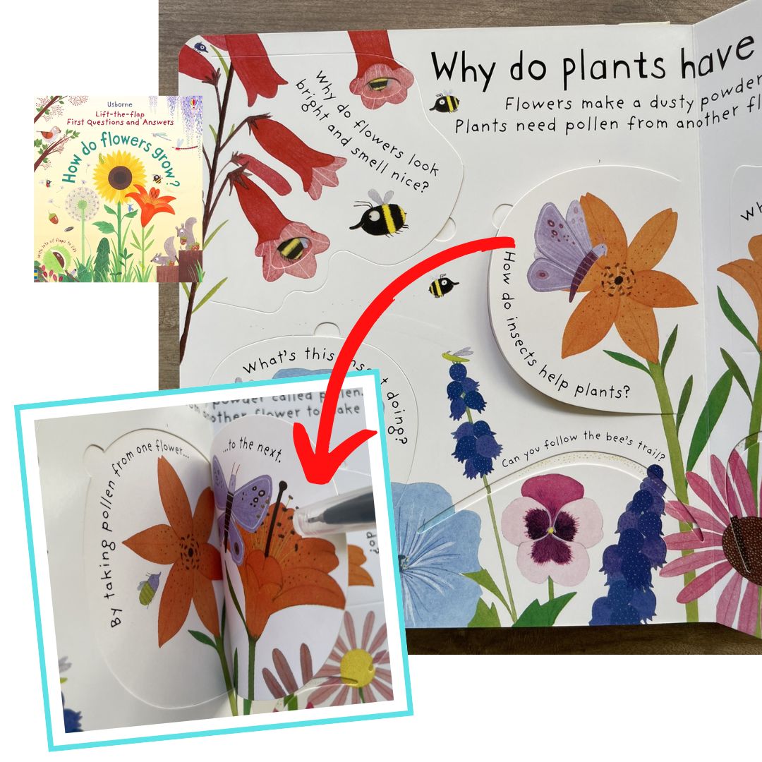 Usborne Lift-the-flap FIRST Questions and Answers (SINGLES, Board Book) How Do Flowers Grow / What is a Virus / What's It Like in Space / Why are there Wars / Why Do We Need Bees / Why Do We Need Trees / Why is it Dark at Night