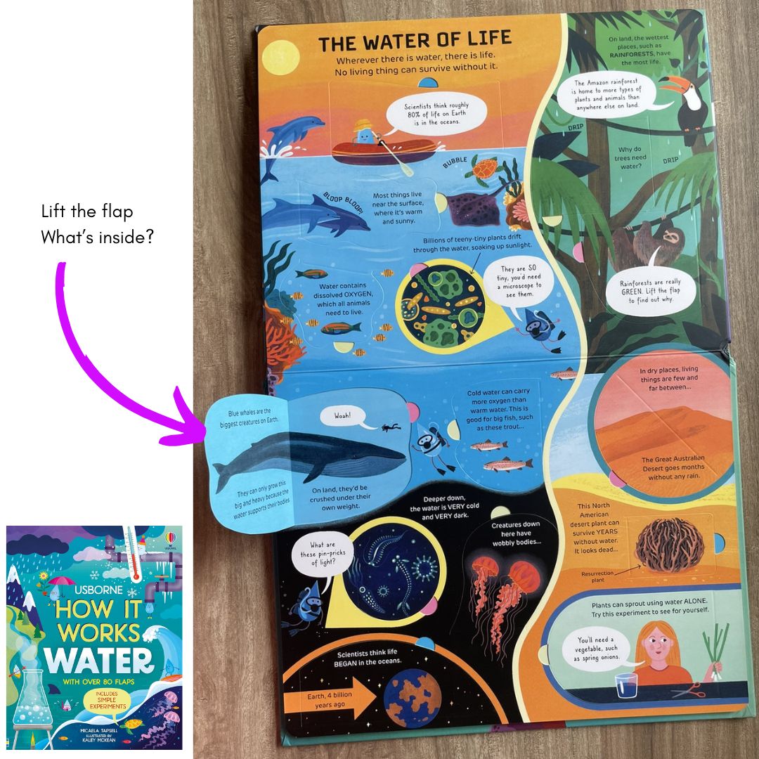Usborne How It Works: WATER (brand new Board Book) - with slight dents on book cover and pages