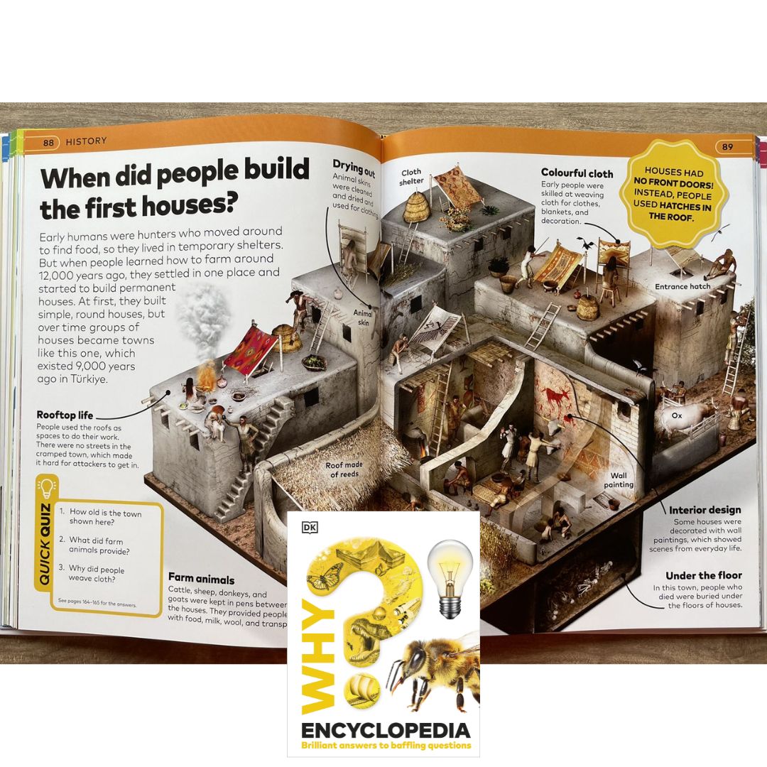 DK WHY? Encyclopedia: Brilliant Answers to Baffling Questions (brand new Hardcover, with SLIGHT DENTS on book cover)