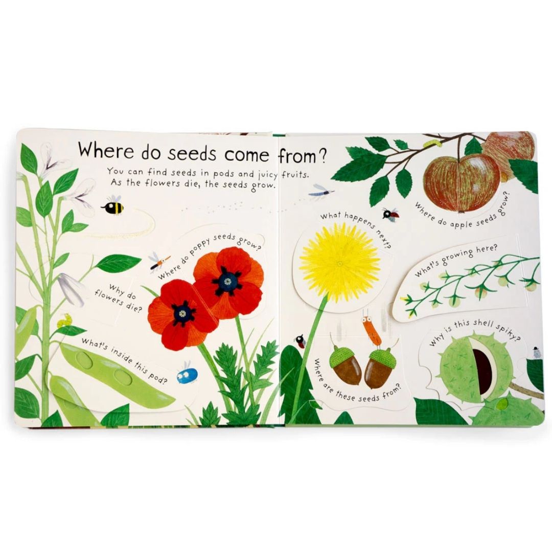 Usborne Lift-the-flap First Questions and Answers: HOW DO FLOWERS GROW? (brand new board book)