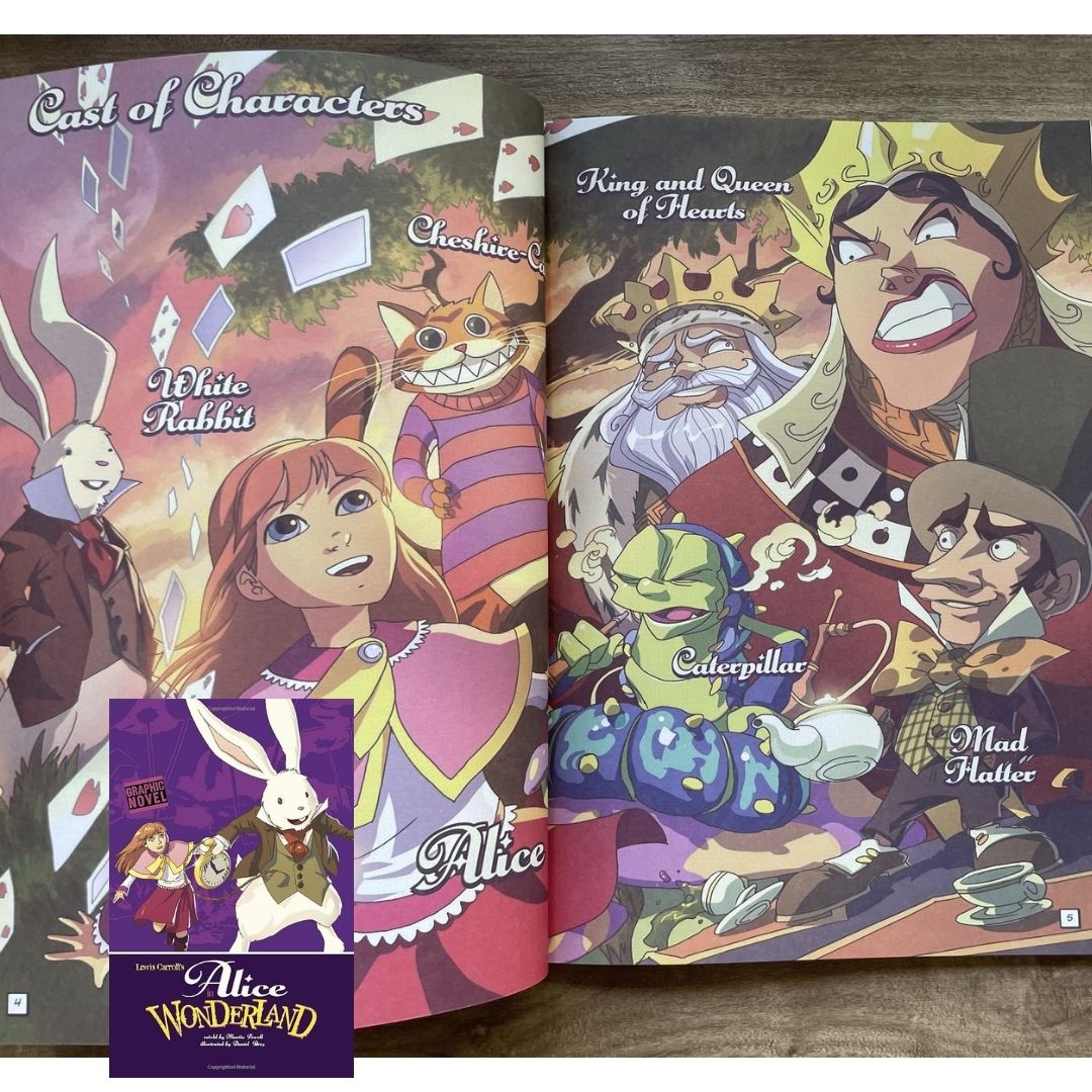 Classic Fiction Graphic Novel (SINGLES) (Alice in Wonderland / Gulliver's Travels / The Hunchback of Notre Dame / The Wizard of Oz) brand new softcover, with SLIGHT TEARS/DENTS/FOLDS on book cover