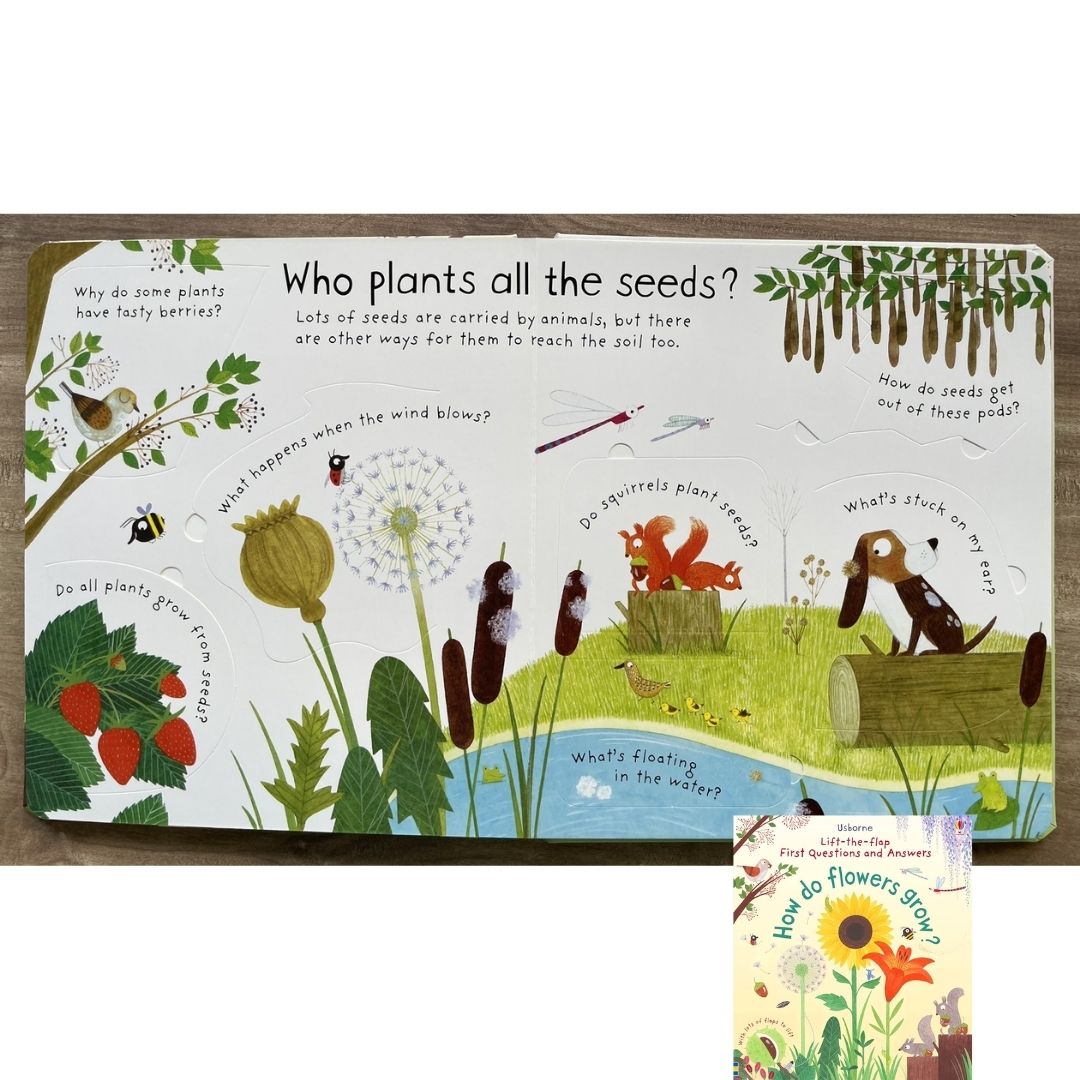 Usborne Lift-the-flap First Questions and Answers: HOW DO FLOWERS GROW? (brand new board book)