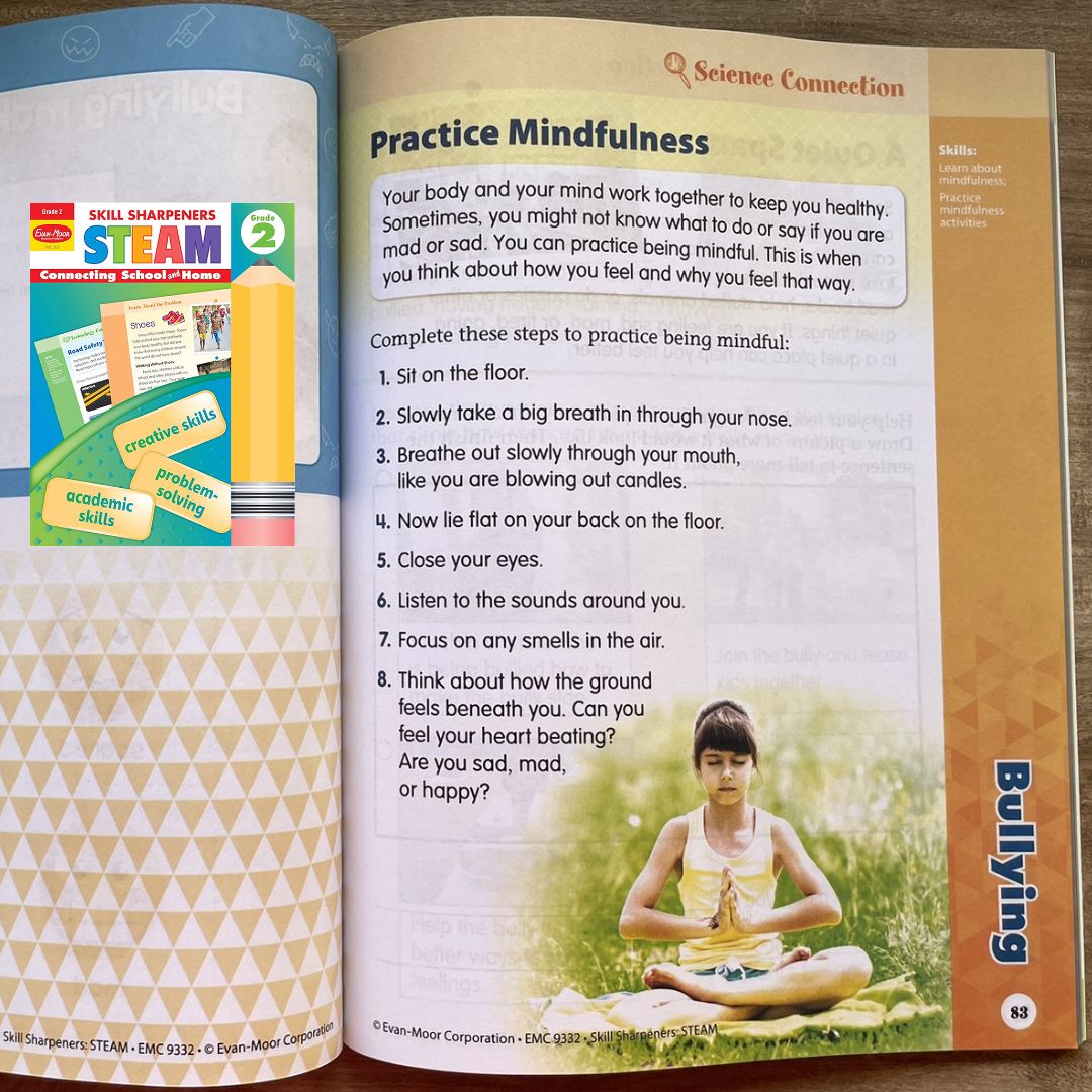 Evan Moor Skill Sharpener Workbook: STEAM ( GRADE 2 ) brand new softcover, with SLIGHT FOLDS