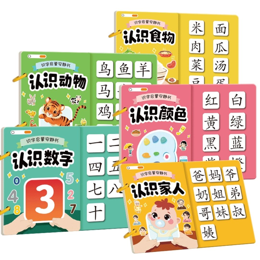 Chinese Quiet / Busy Book (4 pcs. ringbound busy books in 1 set) Numbers, Colors, Family, Animals, Food, Body, Action, Nature
