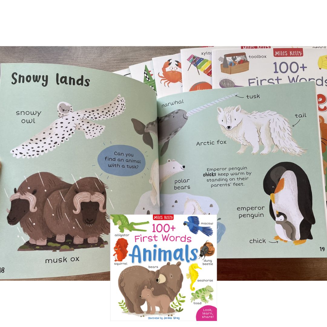 Miles Kelly 100+ FIRST WORDS (SINGLES, brand new softcover) Animals / Home / School / In the Sea / On the Go / Out and About