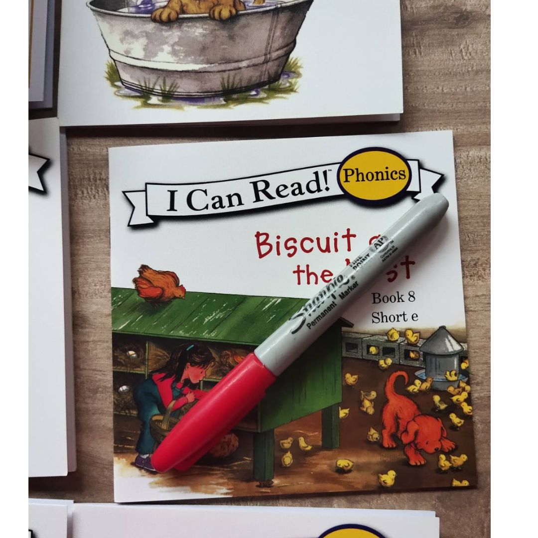 Biscuit I Can Read Phonics (24 books) Mini books, 5 by 5 inches, NO BOX