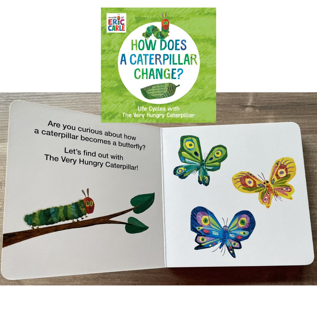 World of Eric Carle: Life Cycles with The Very Hungry Caterpillar (SINGLES, brand new Board Book, with SLIGHT DENTS on book cover) (How Does a Caterpillar Change / How Does an Egg Hatch / How Does a Tadpole Grow / How Does a Seed Sprout)