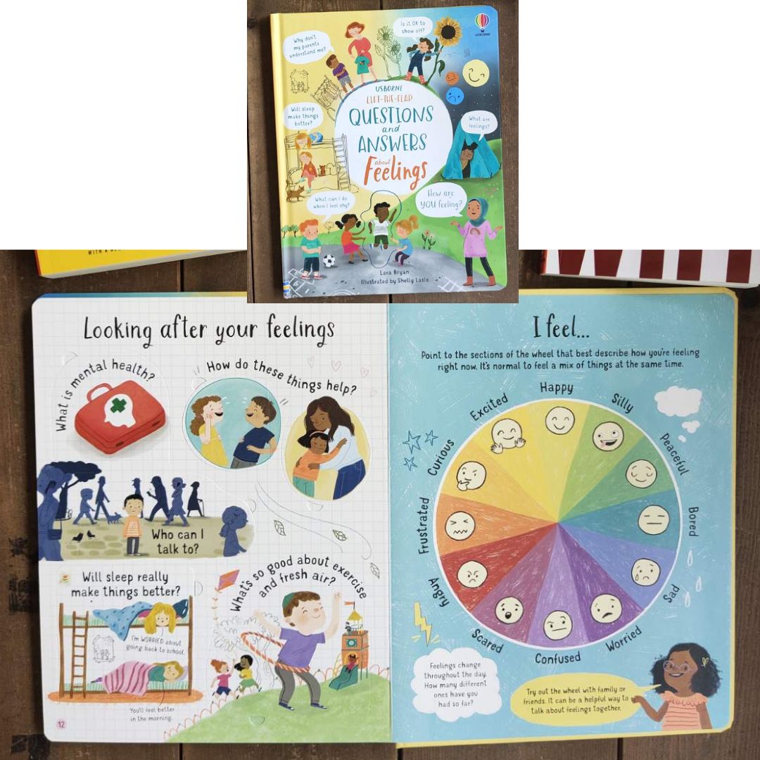 Usborne Lift-the-flap Questions and Answers About (SINGLES, brand new Board Book, w/ SLIGHT DENTS on book cover) Animals / Body / Feelings / Food / Jobs / Money / Nature