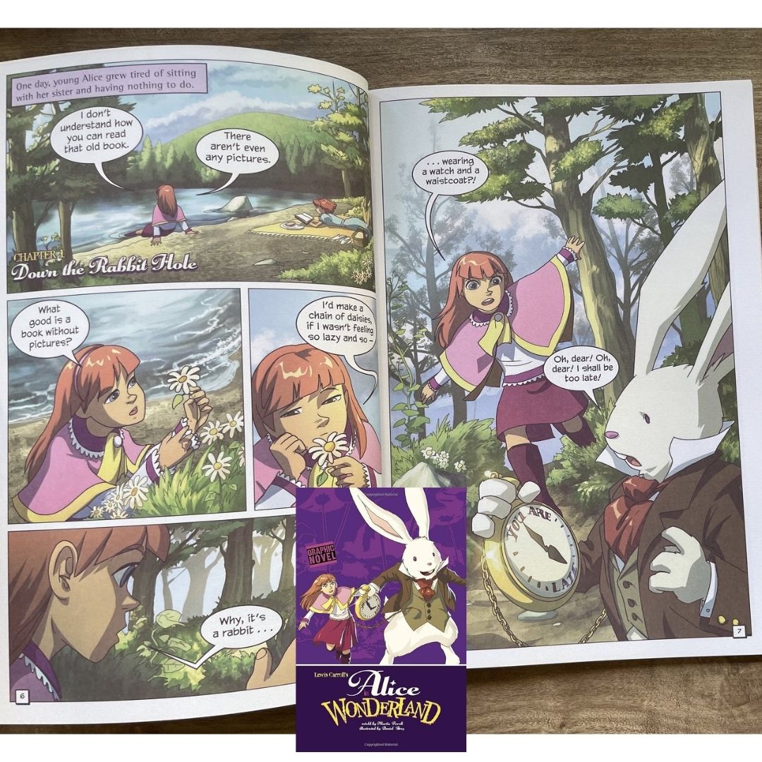 Classic Fiction Graphic Novel (SINGLES) (Alice in Wonderland / Gulliver's Travels / The Hunchback of Notre Dame / The Wizard of Oz) brand new softcover, with SLIGHT TEARS/DENTS/FOLDS on book cover